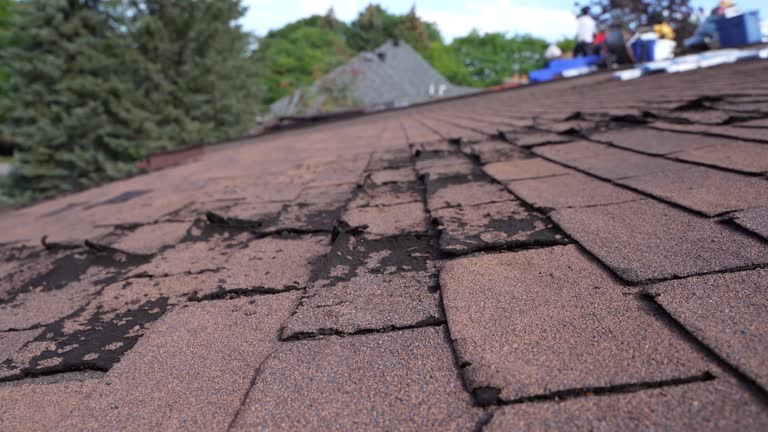 Best Roof Installation  in Cleveland, WI